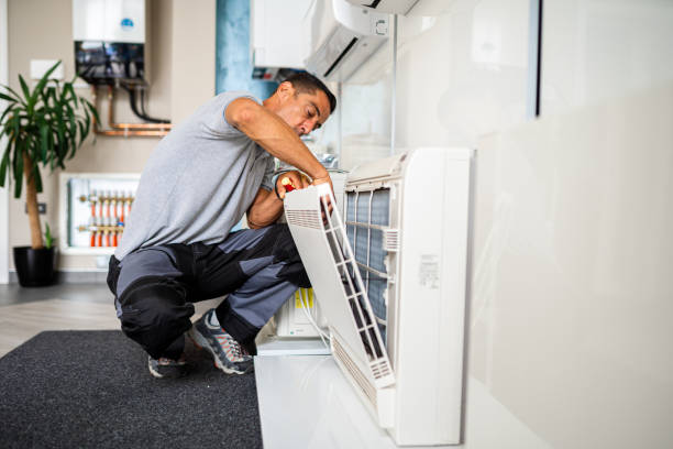 Best Home Air Vent Cleaning  in Davidson, NC