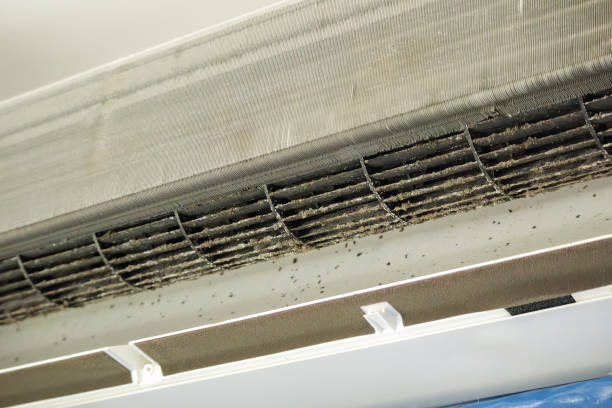 Best Air Duct Cleaning Near Me  in Davidson, NC